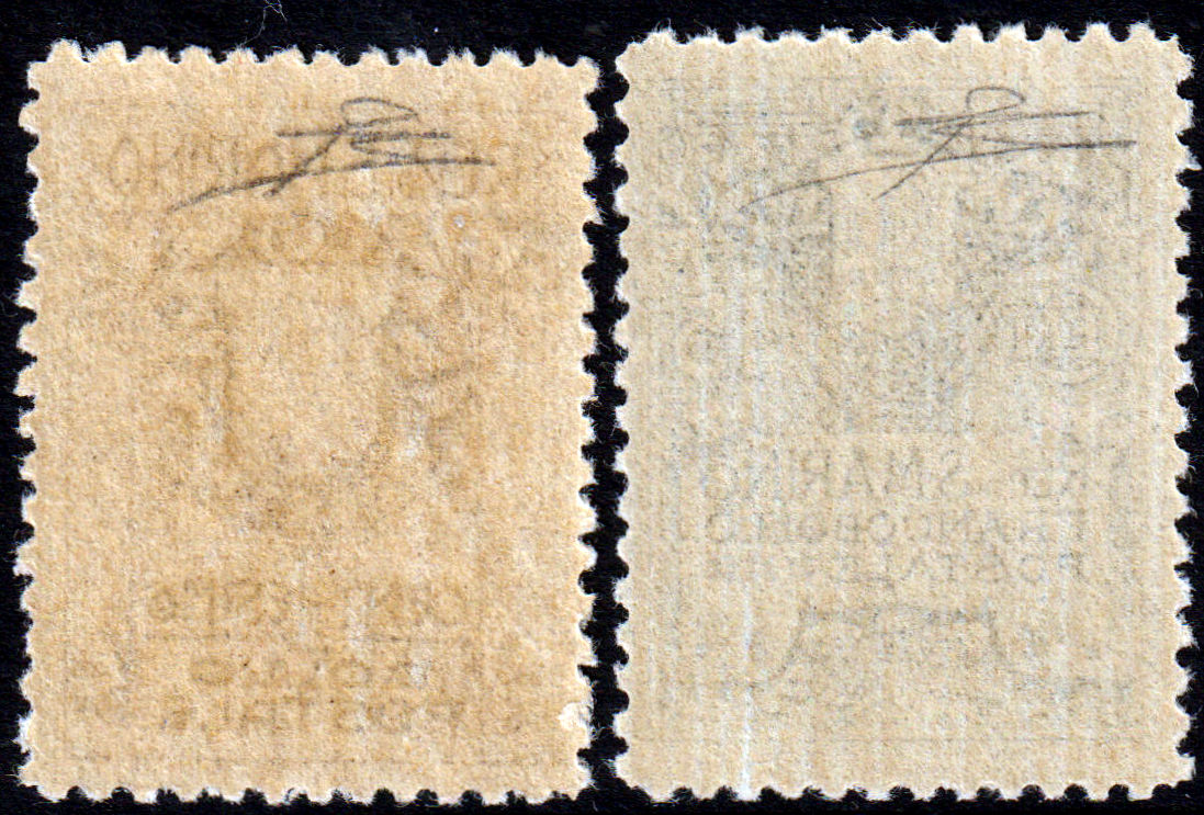 1910 - San Marino - Stemma - serie completa nuova (MNH) - Sassone nn.49/50 - Certificato Diena - immagine 2