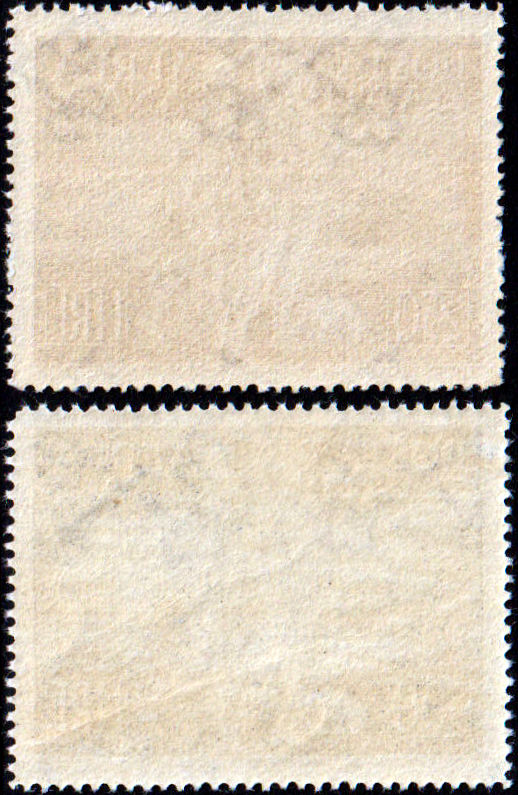 Tobia nuovo MNH