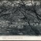 1916 - Lanzo - Panorama dal Pian delle Noci