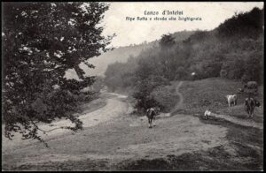 1913 - Lanzo d'Intelvi (Co) - Alpe Rotta e strada alla Sighignola